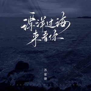 Xingjie Su - 漂洋过海来看你