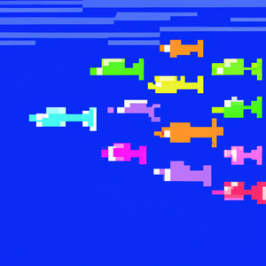Fish Disco by Chef Jef
