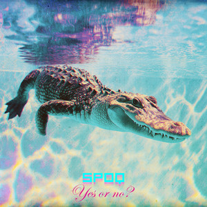 album cover: Yes or No?