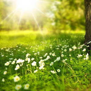 星羽 - 大自然的声音(解压放松的原生态声音)