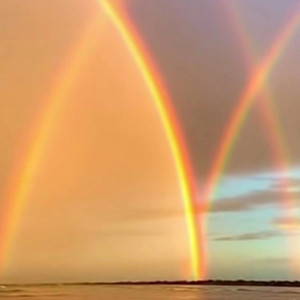 Rise out of the dark