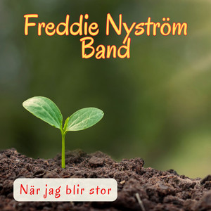 När jag blir stor by Freddie Nyström Band