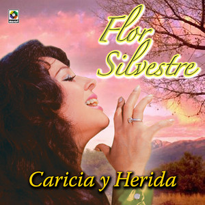 Flor Silvestre - Un Golpe Más