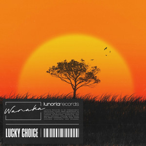 Lucky Choice — Wanaka
