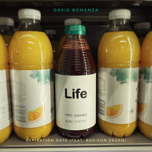 Expiration Date by David Bonanza, Addison Zegan