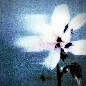 Erase by seren