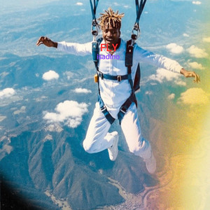 Fly