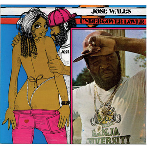 Under Cover Lover by Josey Wales