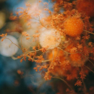 Infinite by Soft Departure