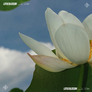 Lotus Blossom by Zen Portal