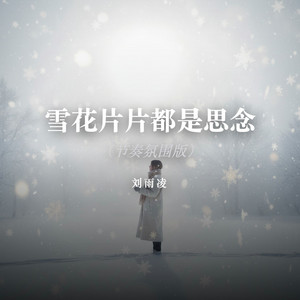 雪花片片都是思念（节奏氛围版） by 刘雨凌