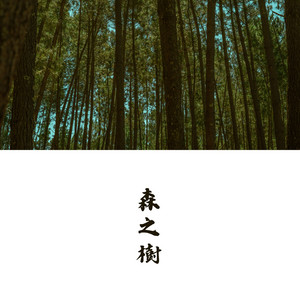 林道 by Zzz貓