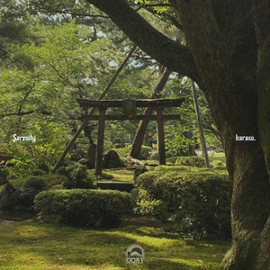 Serenity by karasu.
