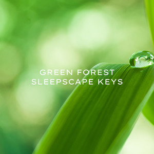Green Forest Sleepscape Keys