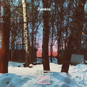 Junkie