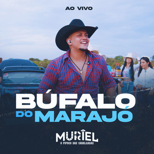 O Muriel - Búfalo do Marajó