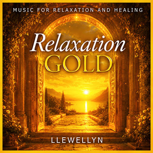Into the Stillness by Llewellyn