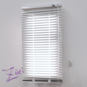 Züri cover