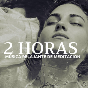 2 Horas de Música Relajante de Meditacion - Guia Practica para Vivir Despierto album