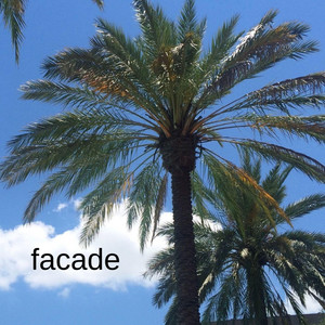 Facade by Operator:Operator