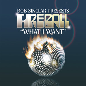 What I Want (4 tracks)