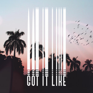 Got it Like by Jay Rhydon