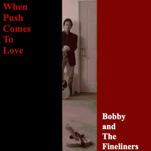 When Push Comes To Love by Bobby and the Fineliners