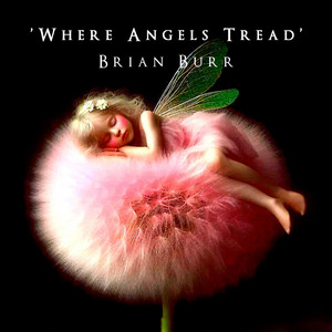 Where Angels Tread by Brian Burr