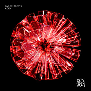 Acid by Gui Wittckind