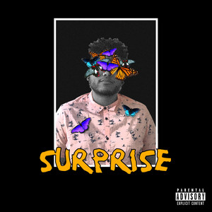 Portada de Surprise