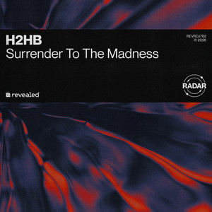 Surrender To The Madness by H2HB