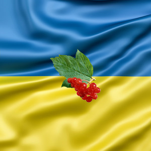 KR3NK — Ой у лузі червона калина