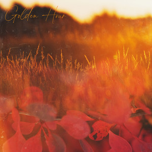 Golden Hour by The Hollow Pines