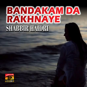 Shabbir Haidri - Tu Tan Ahda Hanveen Mekun Zindagi