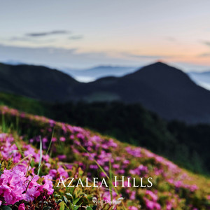 Azalea Hills by Niall Doyle
