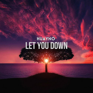 Let You Down - Radio Edit by Huayno