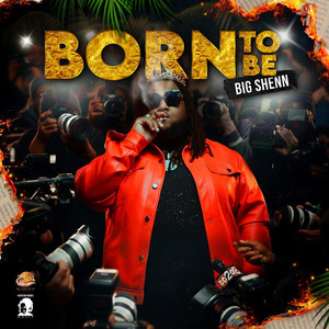 For Cheese by Big Shenn, Ziggi Recado
