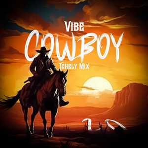 Vibe Cowboy 2.0
