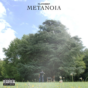 Portada de Metanoia
