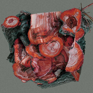 album cover: Spore