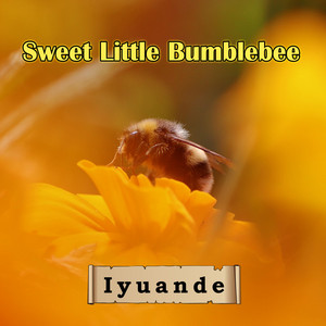 Iyuande - Sweet Little Bumblebee