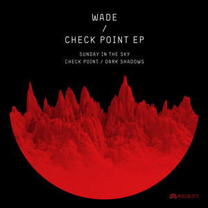 Check Point cover art