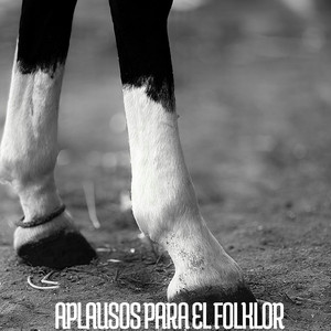 Aplausos para el Folklor by Arpa y Fiesta