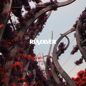 Rise & Fall by Revolver