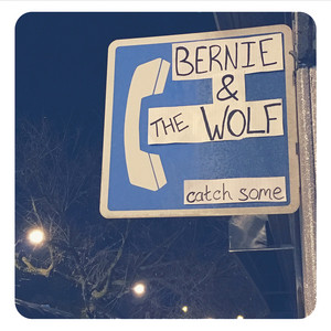 Shake by Bernie and the Wolf