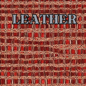 Leather by Layish Hannabi