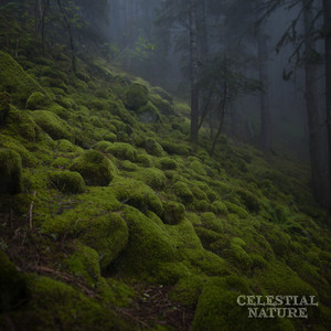 Moss and Mist by Celestial Nature