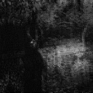 A Monster In Paris - Alternative Version by cardinal sin