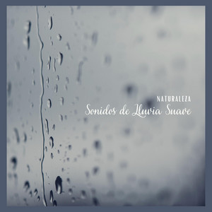 Naturaleza: Sonidos de Lluvia Suave