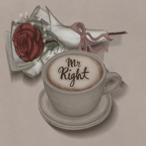 Mr. Right by Echo the Screen